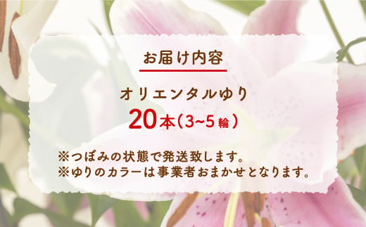 福原さん家のオリエンタルゆりの花束 20本（3～5輪） 【ふるさと納税 人気 おすすめ ランキング 花 ゆり 花束 プレゼント 記念日 ギフト 北海道 豊浦町 送料無料】 TYUAB004