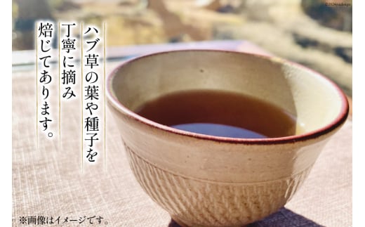 ハブ草茶(80g×4袋) [山崎林業 高知県 津野町 26ag0001] お茶 茶葉 ハブ草 おちゃ ノンカフェイン 煮出し 常温