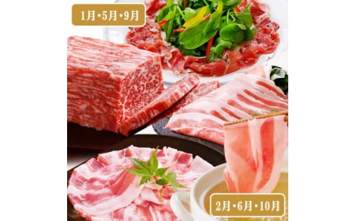 定期便4回配送　肉の定期便 EE-6016_ 定期便 牛肉 肉 お肉 豚肉 黒毛和牛 ロース スライス バラ ハンバーグ しゃぶしゃぶ ソーセージ ぎょうざ 【1491491】