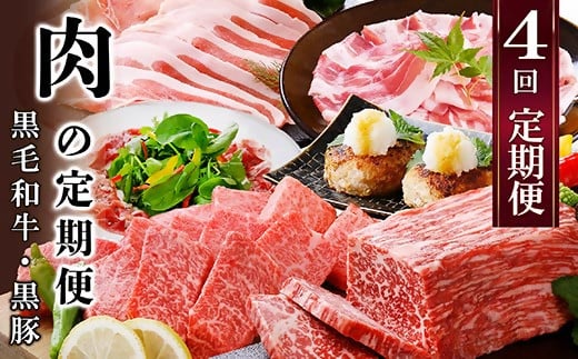 定期便4回配送　肉の定期便 EE-6016_ 定期便 牛肉 肉 お肉 豚肉 黒毛和牛 ロース スライス バラ ハンバーグ しゃぶしゃぶ ソーセージ ぎょうざ 【1491491】