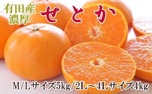 一度は食べていただきたい「有田産のせとか」約4～5kg（サイズおまかせ）★2025年2月中旬頃より順次発送【TM138】