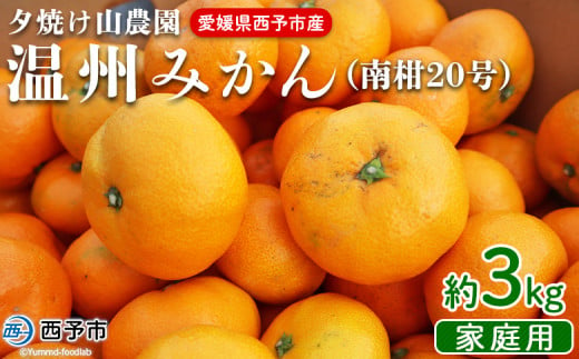 先行予約 ＜夕焼け山農園 愛媛県西予市産 温州みかん 家庭用 約3kg（南柑20号）＞果物 フルーツ ミカン 蜜柑 柑橘 なんかん 訳あり うんしゅうみかん ウンシュウ 特産品 愛媛県 西予市 【常温】