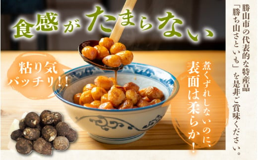 【先行予約】価値ある里芋「勝ち山さといも 5kg」 サイズ L～M混合 等級 秀 ※2024年12月中旬より順次発送 [A-040006]