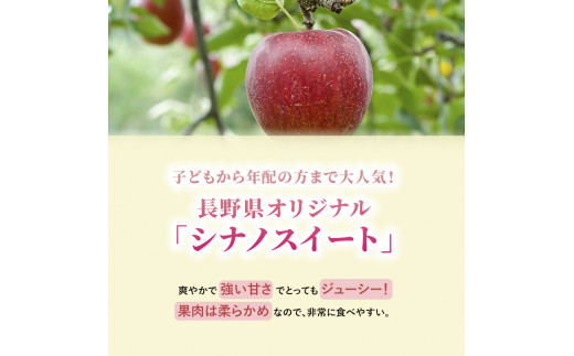 志賀高原の麓で育った シナノスイート 秀16玉 約5kg 【 りんご フルーツ 果物 デザート 長野県 長野 】