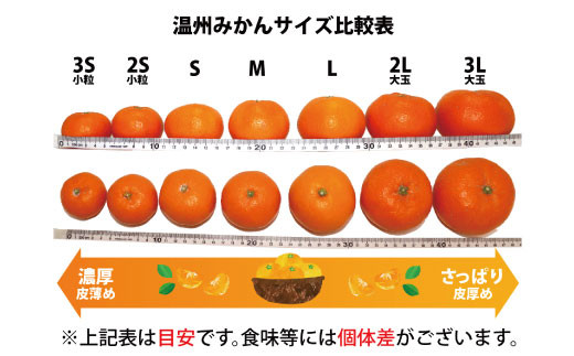 【2023年発送】有田みかん 約5kg(S～Lサイズ)【太地グルメ市場】【miw209】