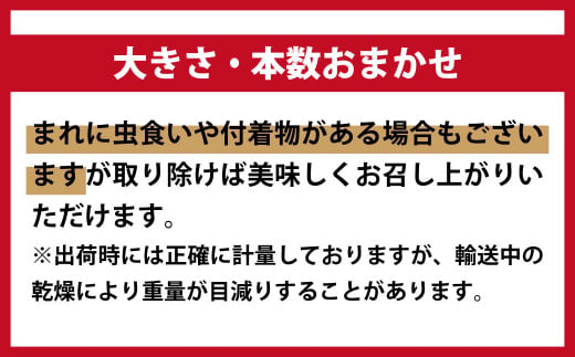 《先行予約》【令和6年10月より発送】【訳あり】秋の味覚！松茸約500g（MJ）国産 岩手 岩手県 土瓶蒸し 松茸ごはん マツタケ まつたけ わけあり ワケアリ