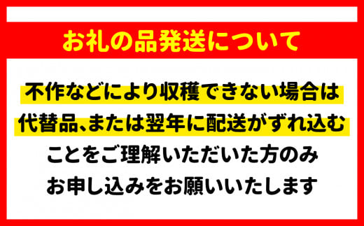 《先行予約》【令和6年10月より発送】【訳あり】秋の味覚！松茸約500g（MJ）国産 岩手 岩手県 土瓶蒸し 松茸ごはん マツタケ まつたけ わけあり ワケアリ