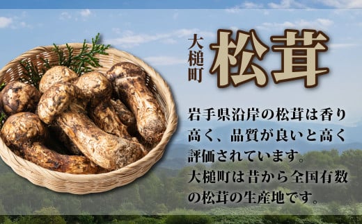 《先行予約》【令和6年10月より発送】【訳あり】秋の味覚！松茸約500g（MJ）国産 岩手 岩手県 土瓶蒸し 松茸ごはん マツタケ まつたけ わけあり ワケアリ