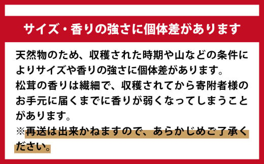 《先行予約》【令和6年10月より発送】【訳あり】秋の味覚！松茸約500g（MJ）国産 岩手 岩手県 土瓶蒸し 松茸ごはん マツタケ まつたけ わけあり ワケアリ