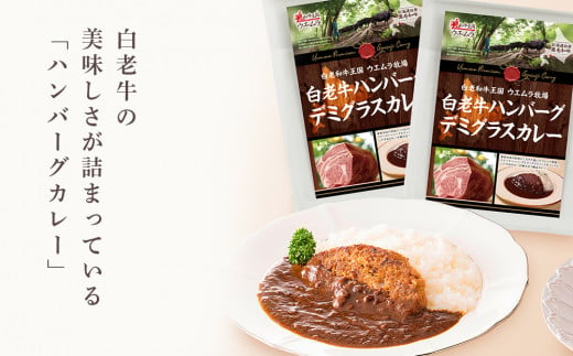 ＜ウエムラ牧場＞白老牛ハンバーグカレー・シチューセット