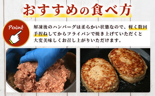 お肉屋さんが作った 国産 生ハンバーグ 2.4kg (120g×20個) 芳寿豚 ハンバーグ B-783