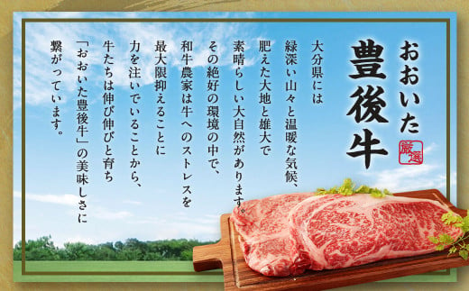 【大分県産】豊後牛 サーロイン ステーキ 400g (200g×2) 牛肉