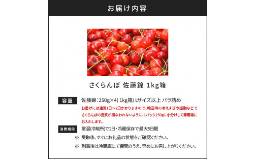 【先行予約】もぎたて直送 さくらんぼ 佐藤錦 1kg箱(北海道余市町産)