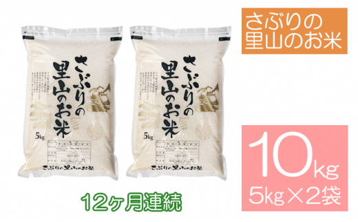 定期便 【12ヶ月連続】さぶりの里山のお米　コシヒカリ精米　5kg×2袋（10kg）