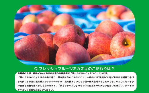 りんご 葉とらず シナノスイート 秀 〜 特秀 10kg フレッシュフルーツミカズキ 2024年10月中旬頃から2024年10月下旬頃まで順次発送予定 令和6年度収穫分 信州 果物 フルーツ リンゴ 林檎 長野 40000円 予約 農家直送 長野県 飯綱町 [1649]