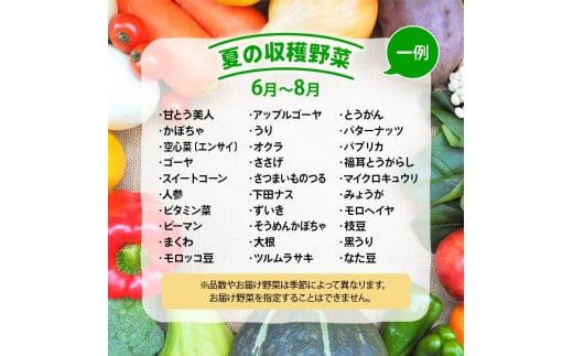 定期便 野菜ソムリエ 厳選 旬の野菜セット 全6回 ( 10~15品 新鮮 採れたて 季節 やさい 玉ねぎ 白菜 キャベツ きゅうり なす にんにく トマト ニラ じゃがいも レタス ゴーヤ 人参 ピーマン かぼちゃ ゴーヤ オクラ 大根 枝豆 九条ネギ 生姜 ほうれん草 わさび 菜 黒豆 高菜 チンゲンサイ 自然薯 セロリ 小松菜 ブロッコリー 春菊 蓮根 さつま芋 里芋 滋賀県 竜王 ) 