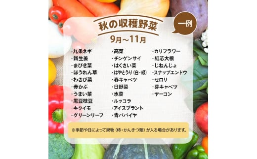 定期便 野菜ソムリエ 厳選 旬の野菜セット 全6回 ( 10~15品 新鮮 採れたて 季節 やさい 玉ねぎ 白菜 キャベツ きゅうり なす にんにく トマト ニラ じゃがいも レタス ゴーヤ 人参 ピーマン かぼちゃ ゴーヤ オクラ 大根 枝豆 九条ネギ 生姜 ほうれん草 わさび 菜 黒豆 高菜 チンゲンサイ 自然薯 セロリ 小松菜 ブロッコリー 春菊 蓮根 さつま芋 里芋 滋賀県 竜王 ) 