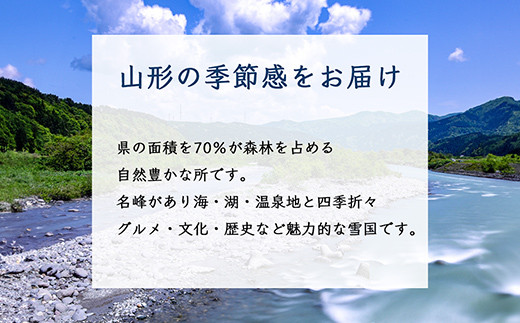 あきづき梨 秋月 約8玉～約14玉 約5kg 【2024年9月から発送】  なし ナシ 梨 デザート フルーツ 果物 くだもの 果実 食品 山形県 FSY-1072