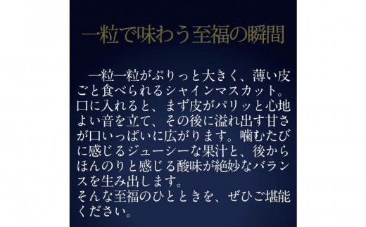 [HS]ぶどう 2025年 先行予約 9月・10月発送 最高級品シャイン マスカット 晴王 1房 約750g【ブドウ 葡萄  岡山県産 船穂産 フルーツ 果物 ギフト】