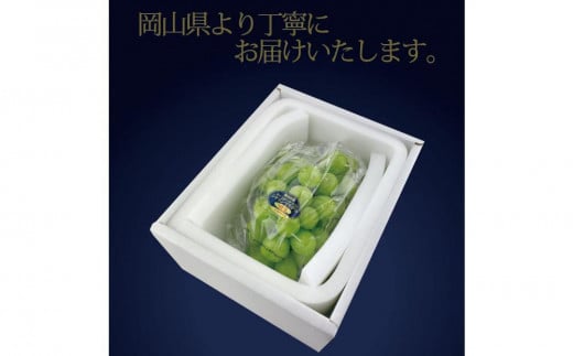 [HS]ぶどう 2025年 先行予約 9月・10月発送 最高級品シャイン マスカット 晴王 1房 約750g【ブドウ 葡萄  岡山県産 船穂産 フルーツ 果物 ギフト】