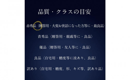 [HS]ぶどう 2025年 先行予約 9月・10月発送 最高級品シャイン マスカット 晴王 1房 約750g【ブドウ 葡萄  岡山県産 船穂産 フルーツ 果物 ギフト】