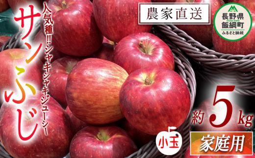 りんご サンふじ ( 小玉 ) 家庭用 5kg ファームたんぽぽ 沖縄県への配送不可 2024年12月上旬頃から2024年12月下旬頃まで順次発送予定 令和6年度収穫分 長野県 飯綱町  [0614]