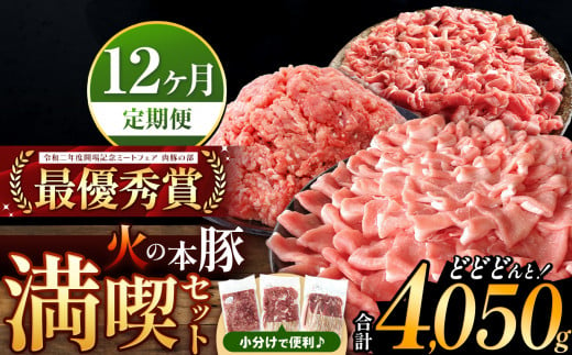 【定期便12回】火の本豚 満喫セット（ロース、切り落とし、ミンチ） 4050g | 熊本県 和水町 くまもと なごみまち 豚肉 肉 ロース 豚ロース 300g 切り落とし ウデモモ 550g ミンチ 500g 冷凍 定期 12回 毎月発送