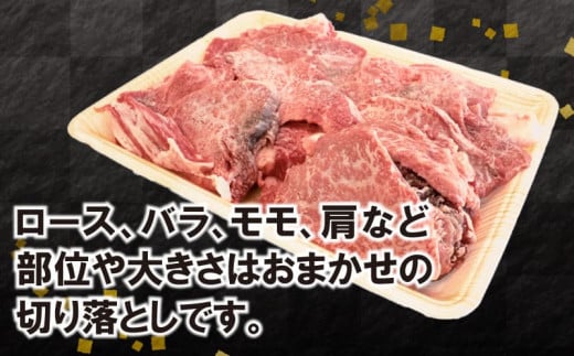 黒毛和牛 切り落とし 500g A5等級 阿波華牛 和牛 牛肉 ぎゅうにく 牛 ぎゅう うし 肉 ビーフ 赤身 ロース 肩 モモ すき焼き すきやき しゃぶしゃぶ 焼肉 牛丼 カレー シチュー BBQ アウトドア キャンプ ギフト プレゼント 贈答 お取り寄せ グルメ おかず 惣菜 おつまみ 弁当 日用 冷凍 小分け 送料無料 徳島県 阿波市 肉の北海