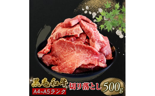 黒毛和牛 切り落とし 500g A5等級 阿波華牛 和牛 牛肉 ぎゅうにく 牛 ぎゅう うし 肉 ビーフ 赤身 ロース 肩 モモ すき焼き すきやき しゃぶしゃぶ 焼肉 牛丼 カレー シチュー BBQ アウトドア キャンプ ギフト プレゼント 贈答 お取り寄せ グルメ おかず 惣菜 おつまみ 弁当 日用 冷凍 小分け 送料無料 徳島県 阿波市 肉の北海