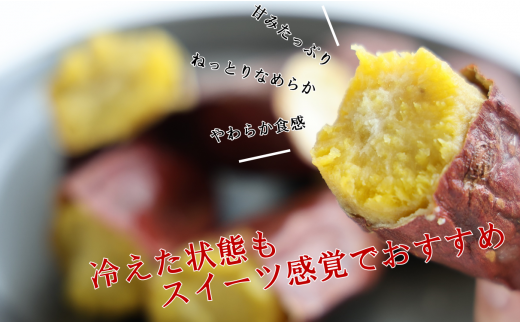 【訳あり】農家が作った超熟成蜜芋「こいもあまいも」の冷凍焼きいも 合計１kg（05-56）さつまいも　【シルクスイート】　1月下旬以降に発送