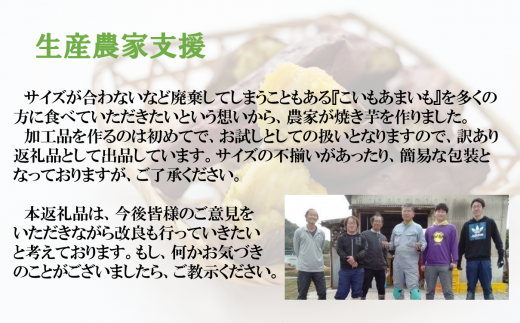 【訳あり】農家が作った超熟成蜜芋「こいもあまいも」の冷凍焼きいも 合計１kg（05-56）さつまいも　【シルクスイート】　1月下旬以降に発送