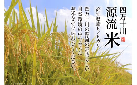 四万十川源流米 5kg [JA高知県高西営農経済センター津野山経済課 高知県 津野町 26ah0015] こめ コメ お米 おこめ 精米 ごはん