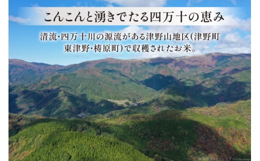 四万十川源流米 5kg [JA高知県高西営農経済センター津野山経済課 高知県 津野町 26ah0015] こめ コメ お米 おこめ 精米 ごはん