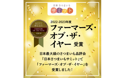 干し芋食べ比べセット紅はるかシルクスイート100g各2袋 N063-YA0275