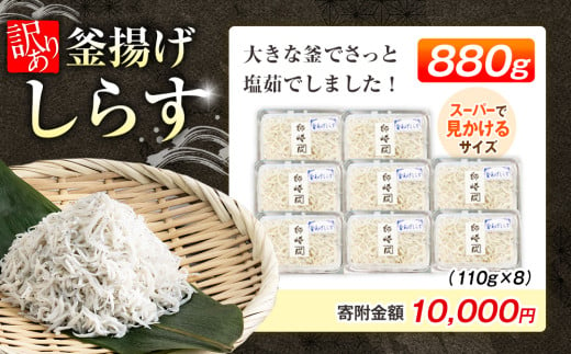 訳あり カネ成 釜揚げしらす 880g 110g×8パック 小分け 減塩 無添加 無着色 冷凍 シラス しらす 魚 小魚 魚貝 魚貝類 しらす シラス 天日干し 海鮮 しらす丼 シラス丼 しらすご飯 シラスご飯 ふるさと納税しらす ふるさと納税 しらす おすすめ 大人気 南知多産しらす愛知県産しらす  ちりめん じゃこ かちり おつまみ 丼 白子 ちりめんじゃこ 人気 おすすめ 愛知県 南知多町