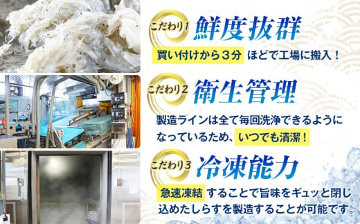 訳あり カネ成 釜揚げしらす 880g 110g×8パック 小分け 減塩 無添加 無着色 冷凍 シラス しらす 魚 小魚 魚貝 魚貝類 しらす シラス 天日干し 海鮮 しらす丼 シラス丼 しらすご飯 シラスご飯 ふるさと納税しらす ふるさと納税 しらす おすすめ 大人気 南知多産しらす愛知県産しらす  ちりめん じゃこ かちり おつまみ 丼 白子 ちりめんじゃこ 人気 おすすめ 愛知県 南知多町