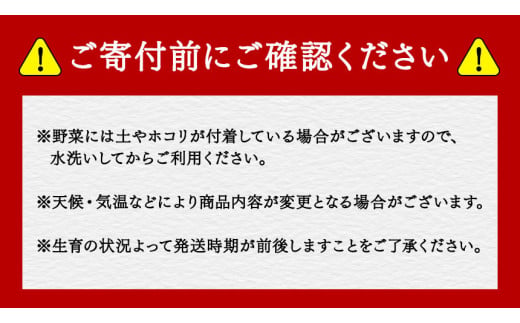 2024年発送【定期便3回】信州 旬の野菜とフルーツ定期便 - a -