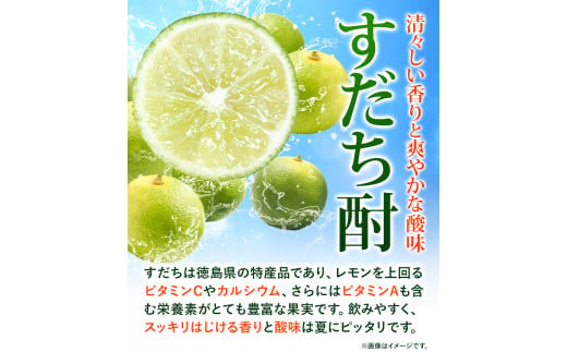 すだち酎飲み比べセット(720ml × 4本) 日新酒類株式会社 《30日以内出荷予定(土日祝除く)》徳島 すだち お酒 酒 焼酎 アルコール ギフト プレゼント 詰め合わせ 送料無料 徳島県 上板町