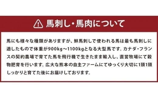 鮮馬刺し 赤身ユッケ 10個セット 約500g