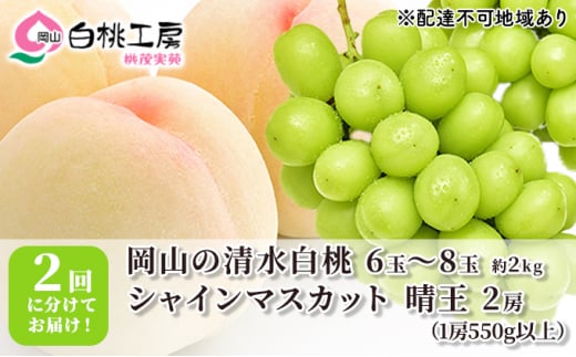 桃 ぶどう 2025年 先行予約 清水 白桃 2kg シャインマスカット 晴王 2房 1房550g以上 2回に分けてお届け！もも 葡萄 定期便 岡山 国産 フルーツ 果物 ギフト 桃茂実苑 