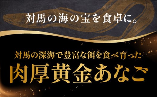 対馬あなご亭 あなごセット 妃（きさき） 長崎県/長崎漁港水産加工団地協同組合 [42ZZAD051]  あなご重 茶碗蒸し 魚 海鮮 海産物 魚介 アナゴ 穴子 詰め合わせ 冷凍 長崎 対馬 