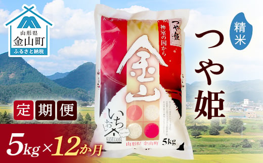 《定期便》金山産米「つや姫【精米】」5kg×12ヶ月  計60kg 12ヶ月 米 お米 白米 ご飯 精米 ブランド米 つや姫 送料無料 東北 山形 金山町 F4B-0175