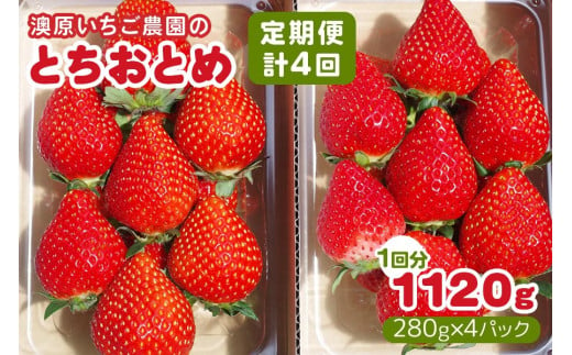 [2024年12月～発送][4ヶ月連続定期便] 澳原いちご農園のとちおとめ定期便 (毎月お届け 計4回)｜いちご イチゴ 苺 フルーツ 果物 産地直送 栃木県産 先行予約 [0484]