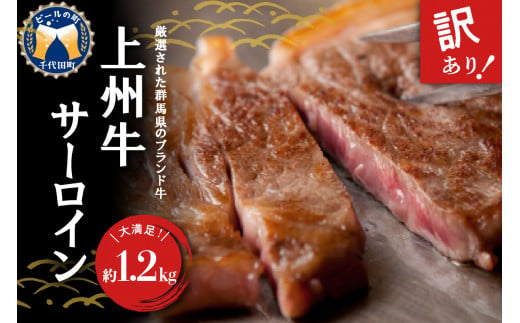 【訳あり】牛肉 サーロイン 【上州牛】 約1.2kg (約200g×6枚) 群馬県 千代田町 国産 牛肉 ステーキ キャンプ アウトドア バーべキュー BBQ 冷凍 送料無料