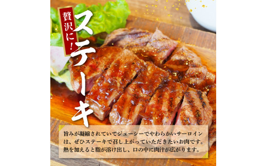 【訳あり】牛肉 サーロイン 【上州牛】 約1.2kg (約200g×6枚) 群馬県 千代田町 国産 牛肉 ステーキ キャンプ アウトドア バーべキュー BBQ 冷凍 送料無料