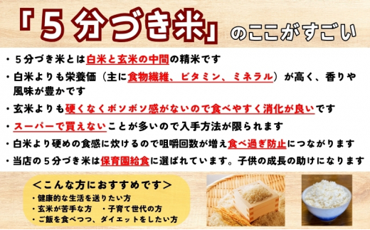 ★栄養も美味しさも欲ばる人へ★ひとめぼれ【5分づき精米・ビタミン強化米入り】5kg 令和6年産 盛岡市産 ◆新米入荷後順次 当日精米発送・1等米のみを使用したお米マイスター監修の米◆