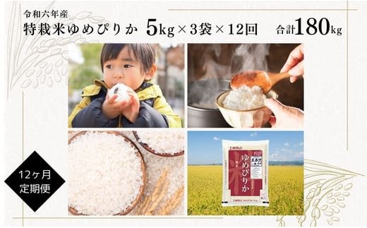 【定期便】【令和6年産】北海道産『特別栽培米 ゆめぴりか 15kg×12ヶ月』日経トレンディ米のヒット甲子園 大賞受賞 5kg×3袋 毎月1回・計12回お届け 計180kg 定期便 単一原料米 特栽米 米 お米 白米 精米 こめ おこめ ごはん ご飯 送料無料 北海道 奈井江町