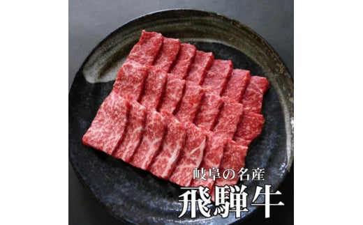 [A5等級]飛騨牛赤身肉焼肉用500g　モモ又はカタ肉【1445792】