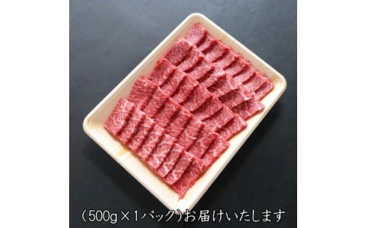 [A5等級]飛騨牛赤身肉焼肉用500g　モモ又はカタ肉【1445792】