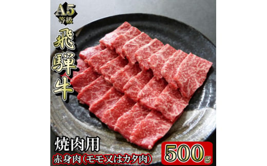 [A5等級]飛騨牛赤身肉焼肉用500g　モモ又はカタ肉【1445792】